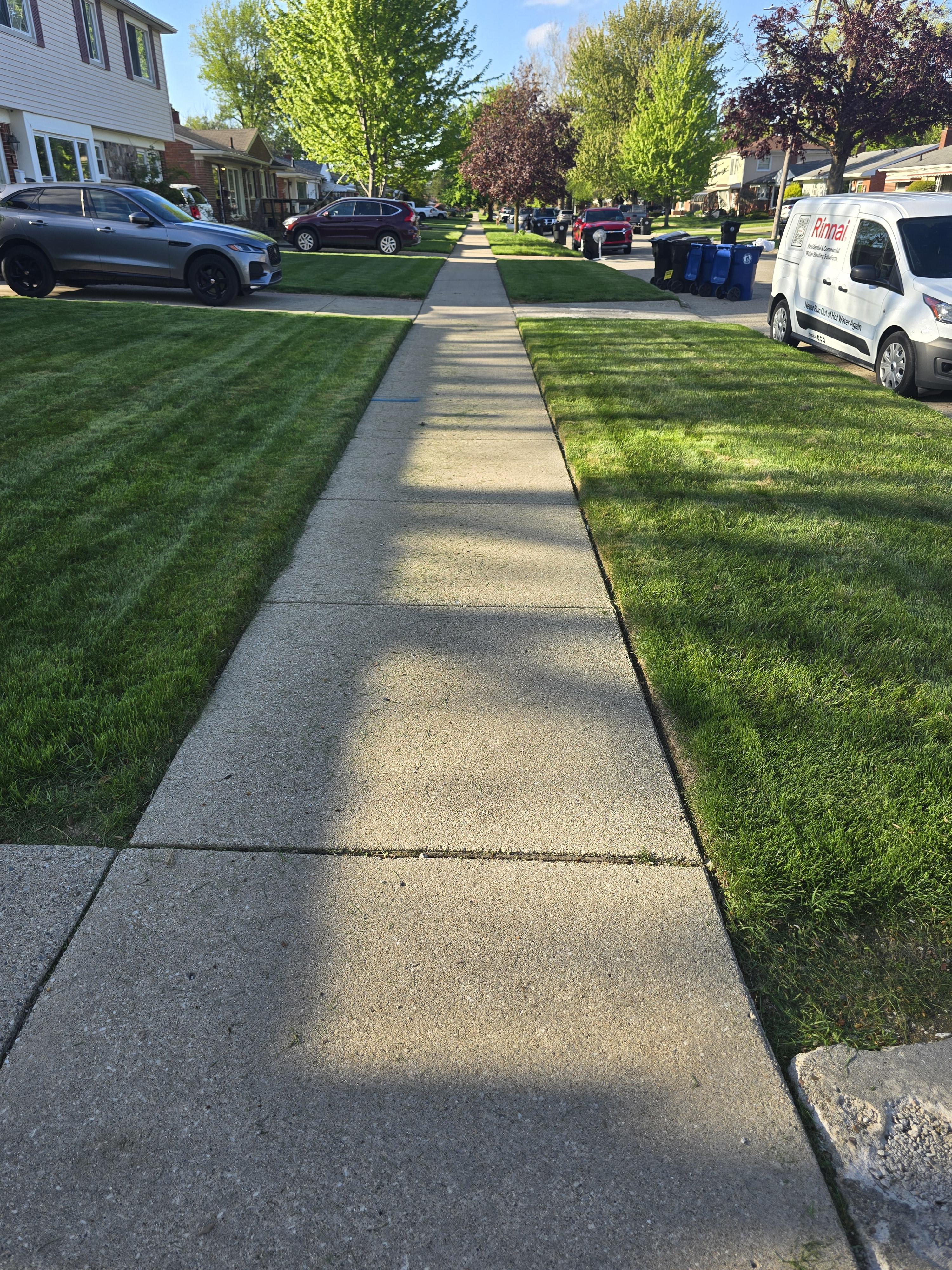 Landscaping project by Malles Landscaping in Wayne County MI